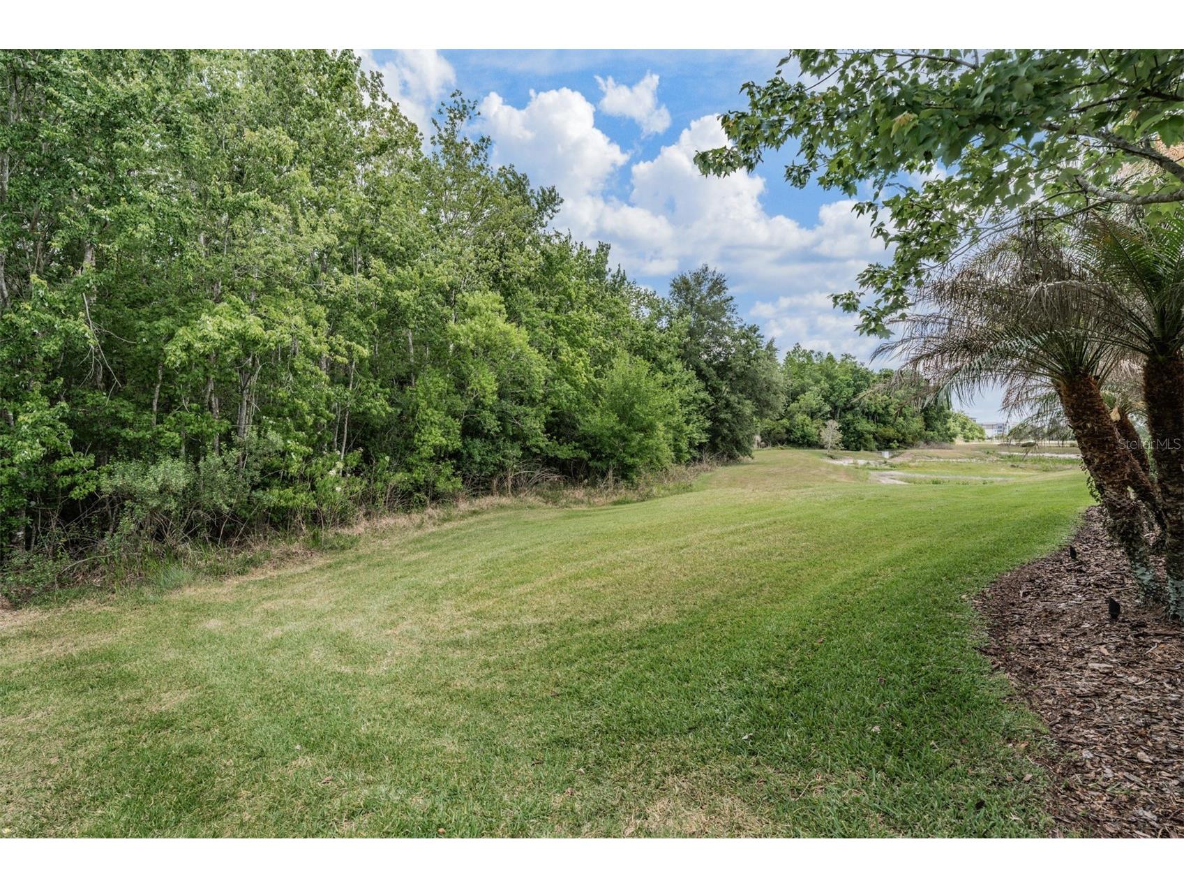 4557 Vermillion Sky Drive Wesley Chapel FL 33544 TB8492442 image43