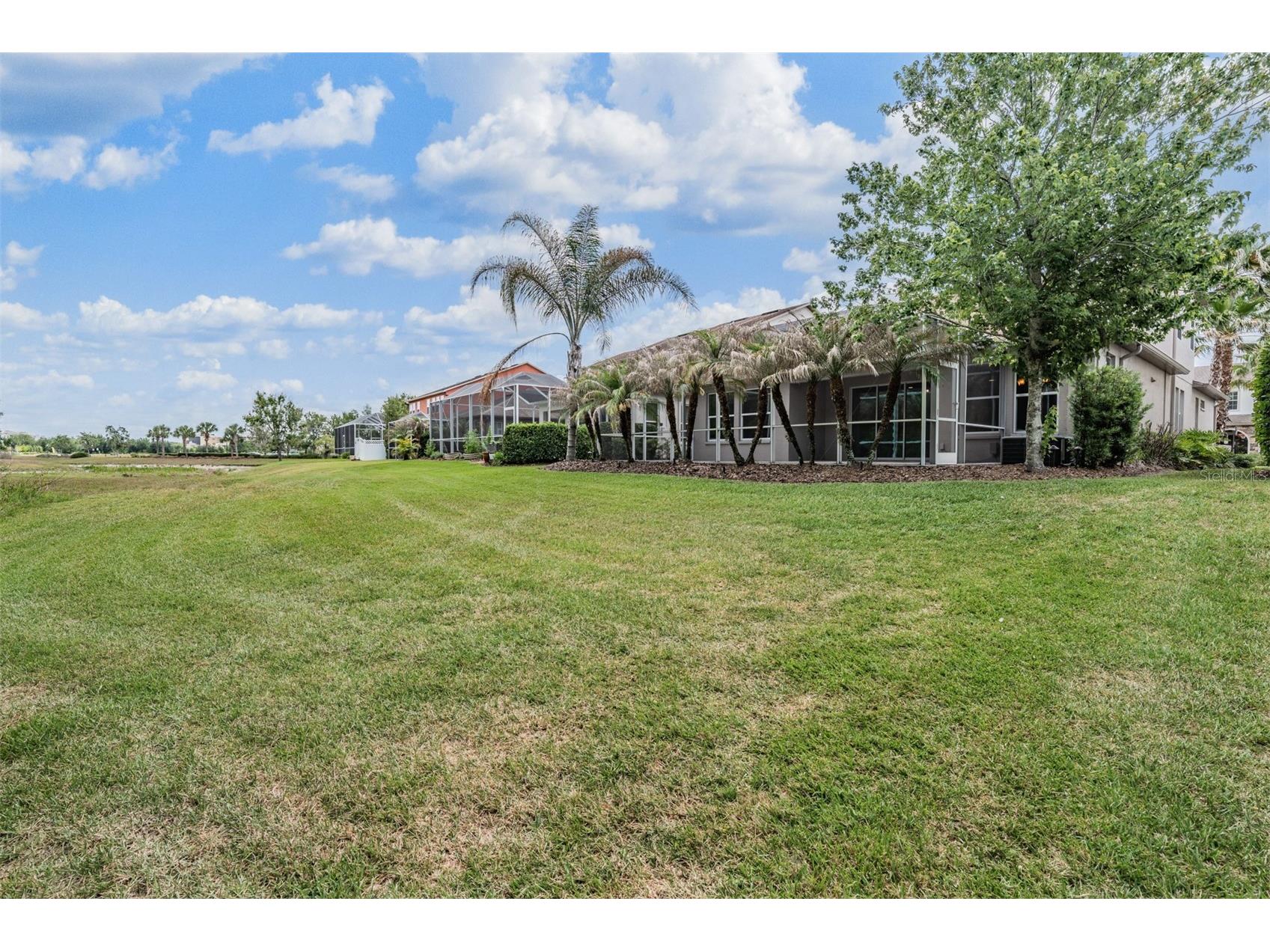 4557 Vermillion Sky Drive Wesley Chapel FL 33544 TB8492442 image44
