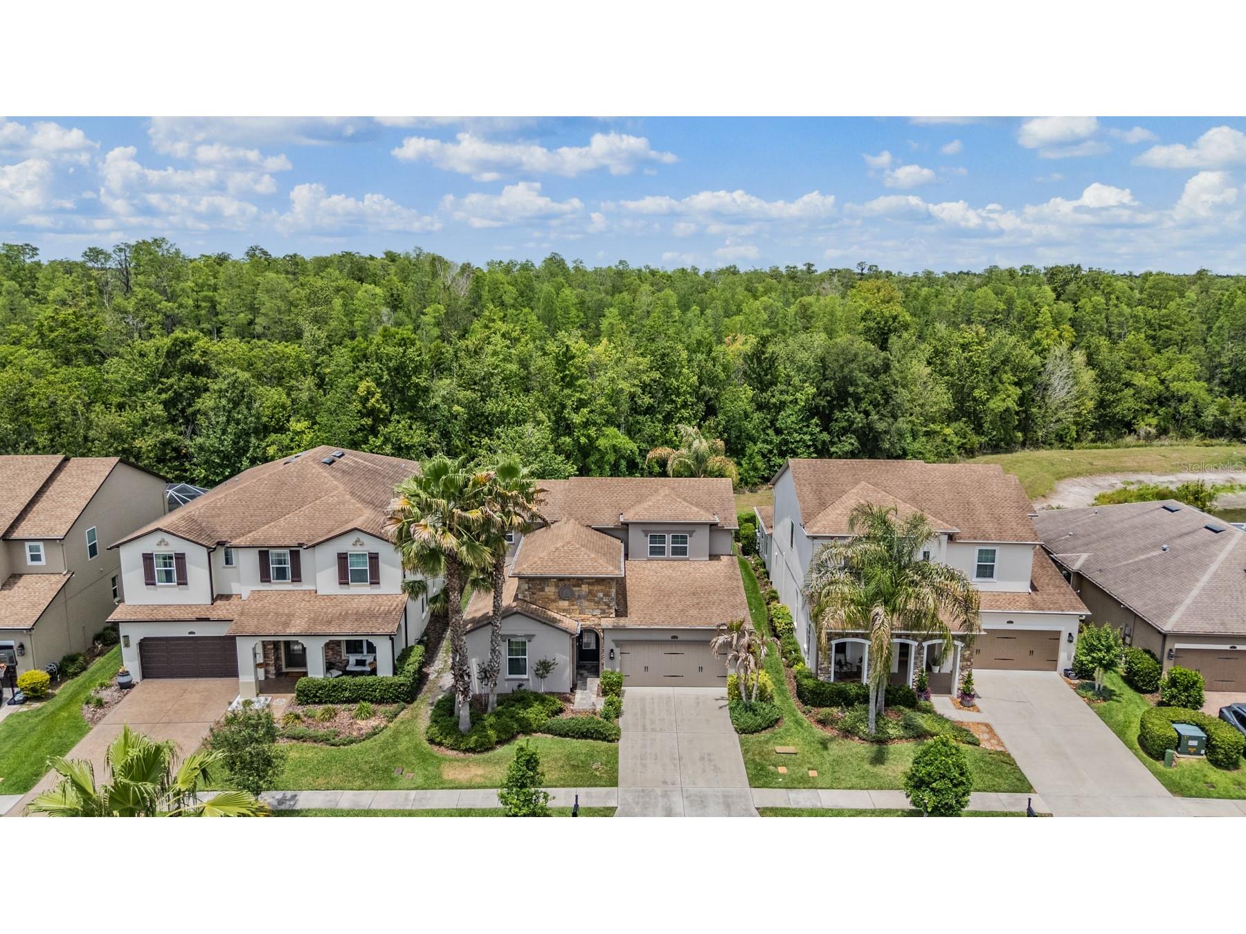 4557 Vermillion Sky Drive Wesley Chapel FL 33544 TB8492442 image49