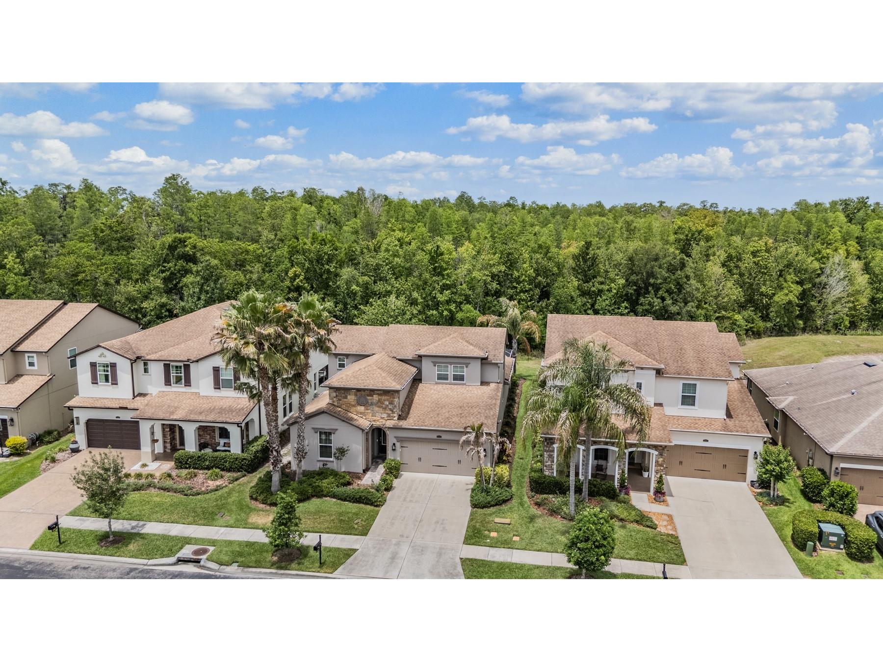 4557 Vermillion Sky Drive Wesley Chapel FL 33544 TB8492442 image50