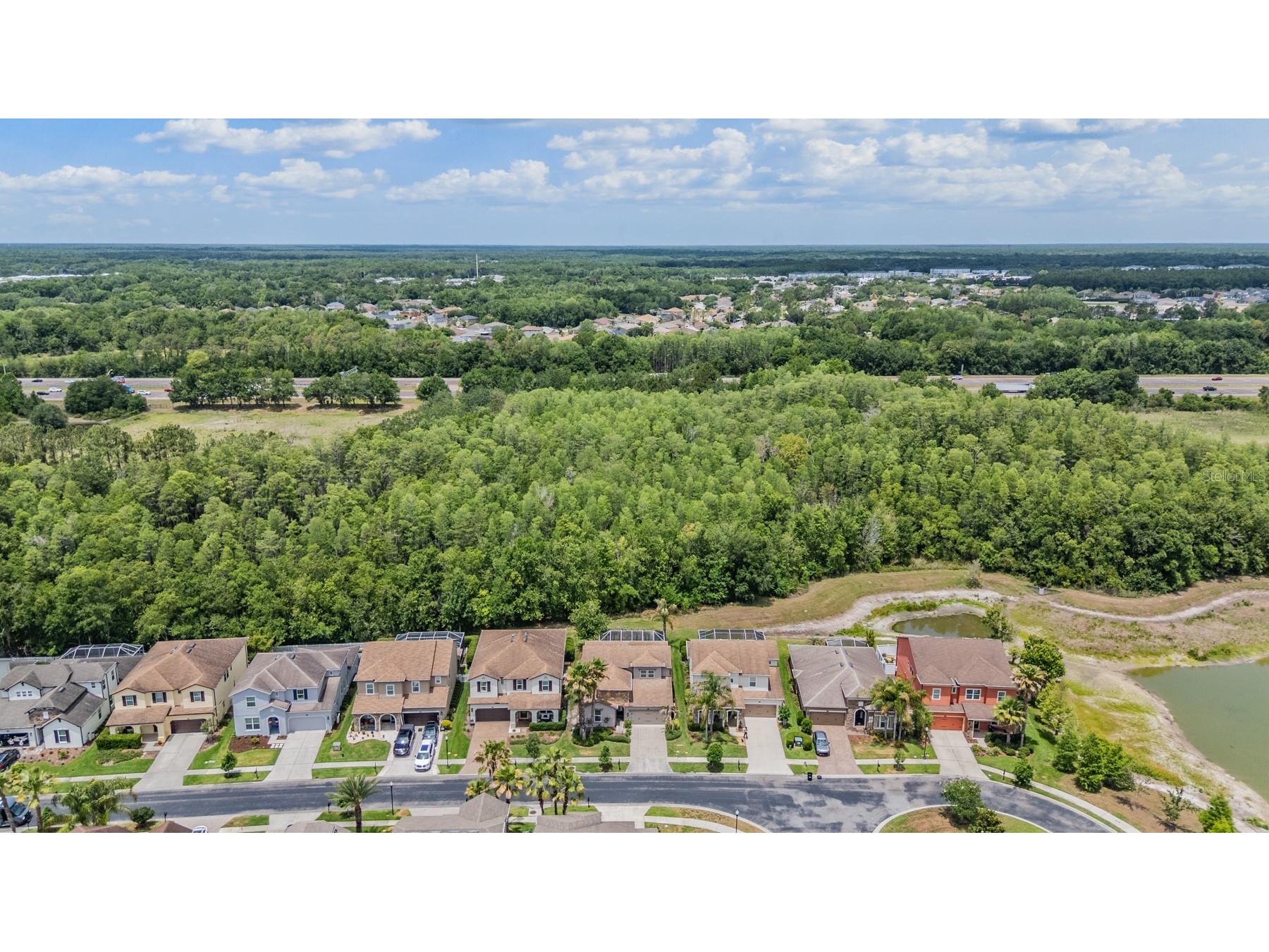 4557 Vermillion Sky Drive Wesley Chapel FL 33544 TB8492442 image52