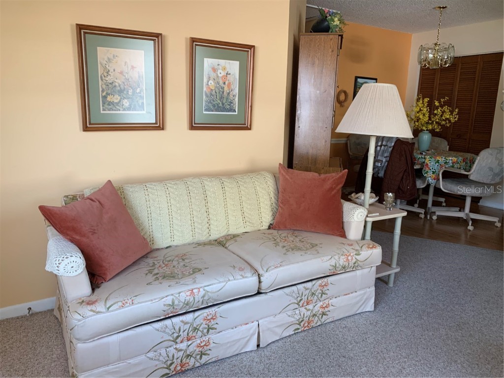 4558 Blossom Boulevard #D Zephyrhills FL 33542 TB8367236 image13