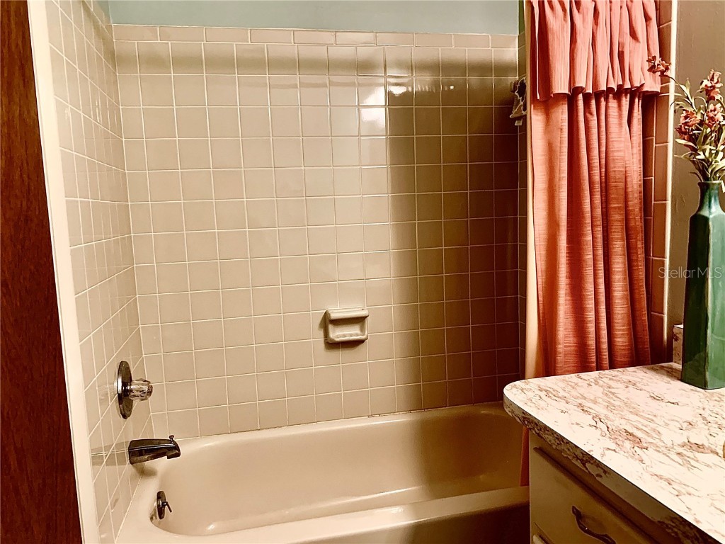 4558 Blossom Boulevard #D Zephyrhills FL 33542 TB8367236 image18