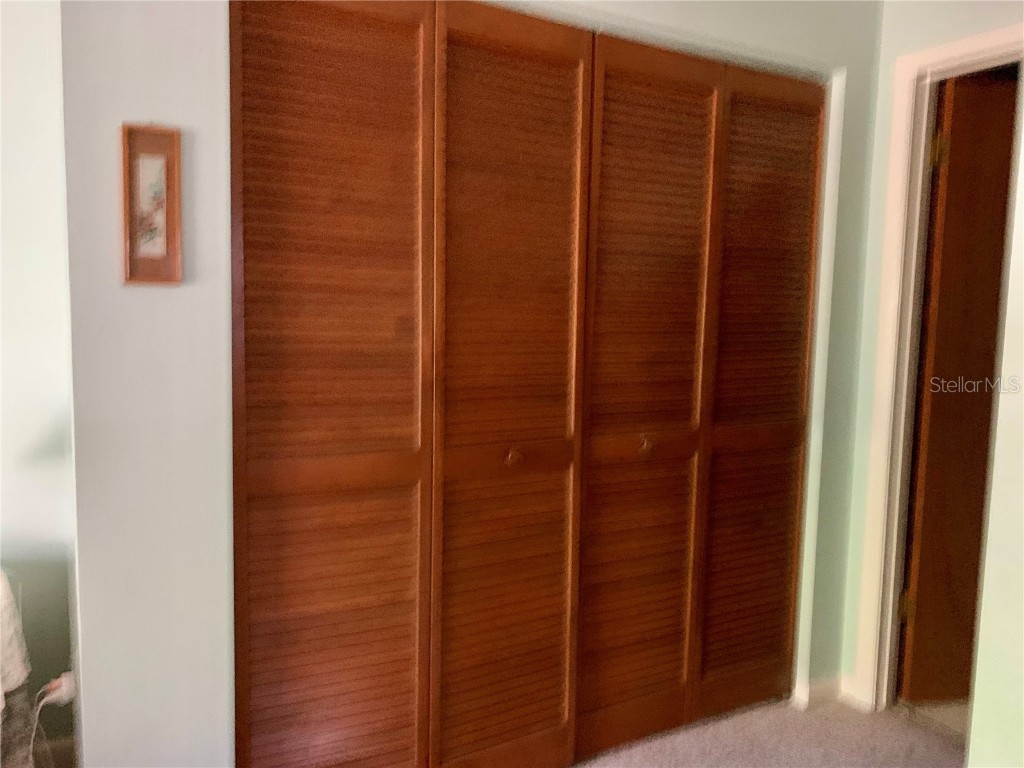 4558 Blossom Boulevard #D Zephyrhills FL 33542 TB8367236 image21