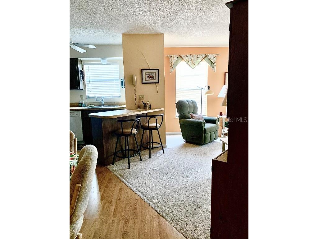 4558 Blossom Boulevard #D Zephyrhills FL 33542 TB8367236 image22