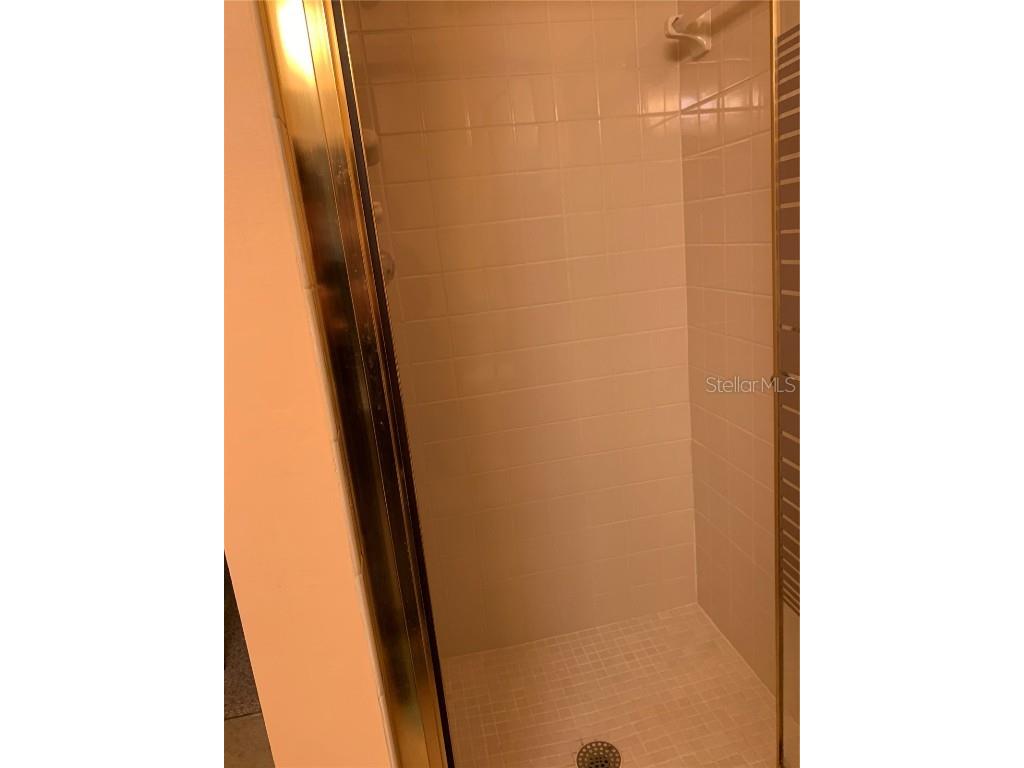 4558 Blossom Boulevard #D Zephyrhills FL 33542 TB8367236 image23