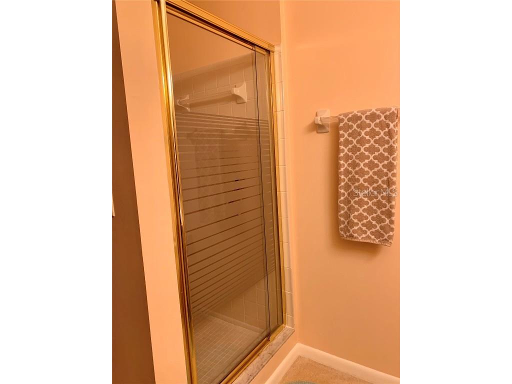 4558 Blossom Boulevard #D Zephyrhills FL 33542 TB8367236 image26