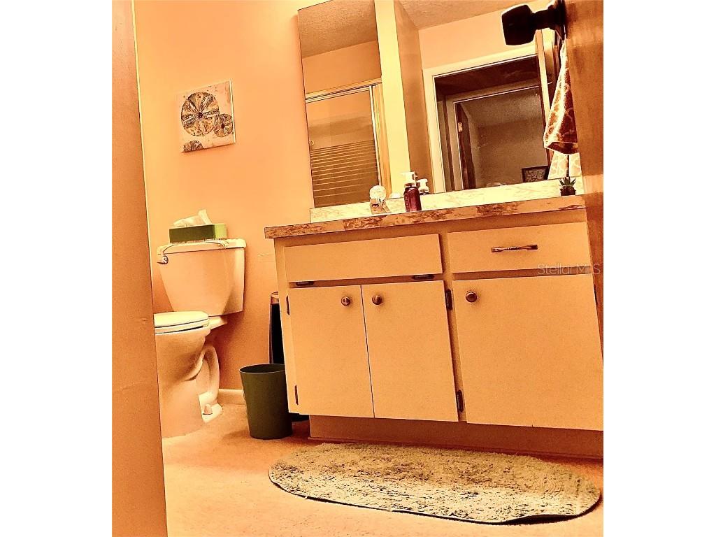 4558 Blossom Boulevard #D Zephyrhills FL 33542 TB8367236 image27