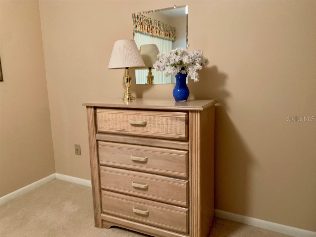 4558 Blossom Boulevard #D Zephyrhills FL 33542 TB8367236 image28