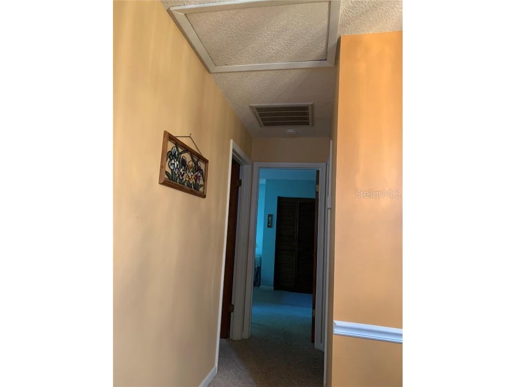 4558 Blossom Boulevard #D Zephyrhills FL 33542 TB8367236 image30