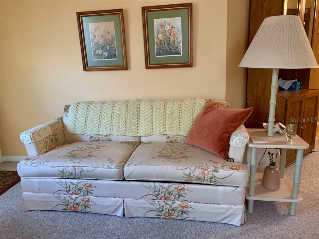 4558 Blossom Boulevard #D Zephyrhills FL 33542 TB8367236 image32