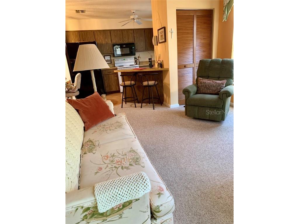 4558 Blossom Boulevard #D Zephyrhills FL 33542 TB8367236 image35