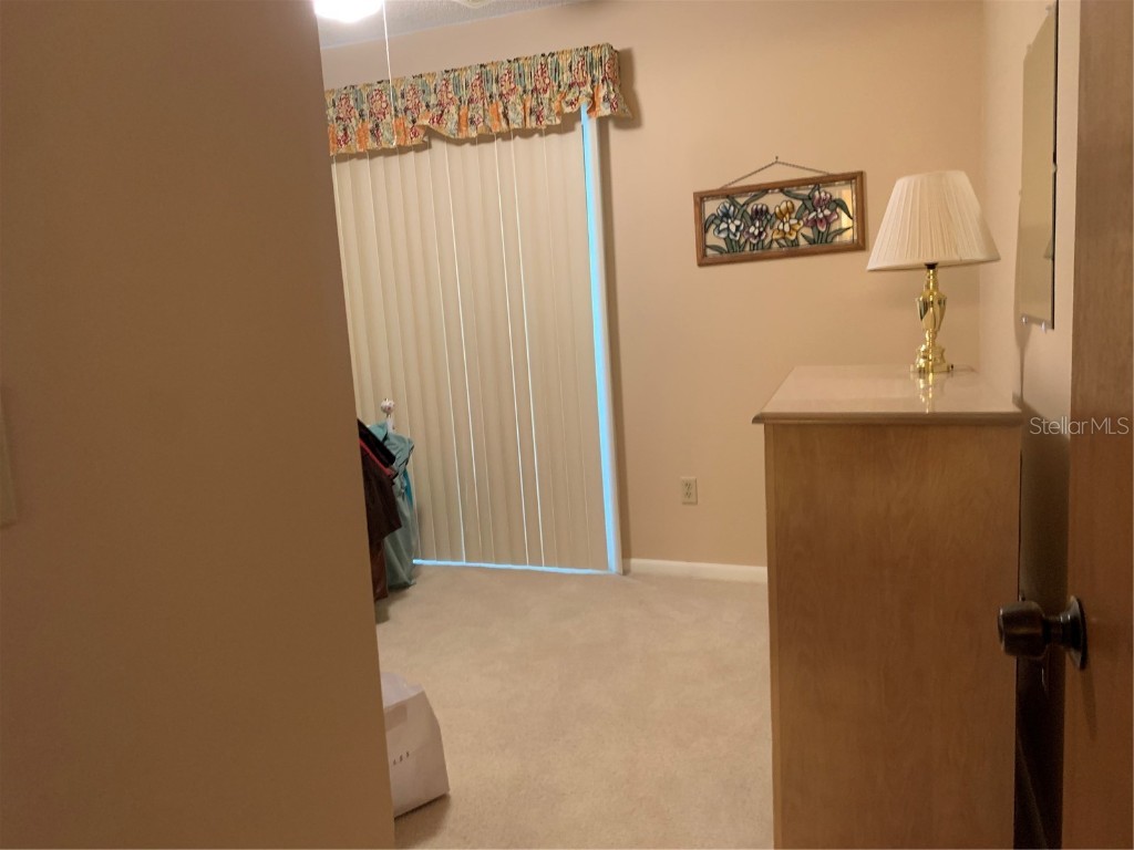 4558 Blossom Boulevard #D Zephyrhills FL 33542 TB8367236 image43