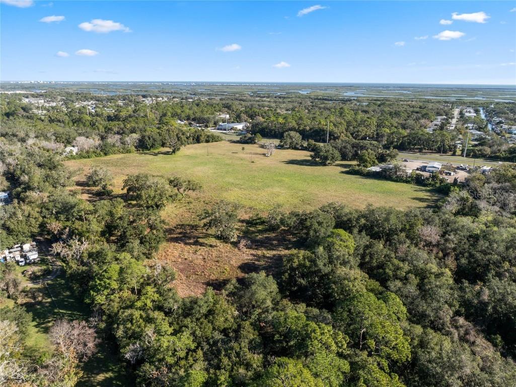 4558 S Ridgewood Avenue Edgewater FL 32141 NS1083528 image12