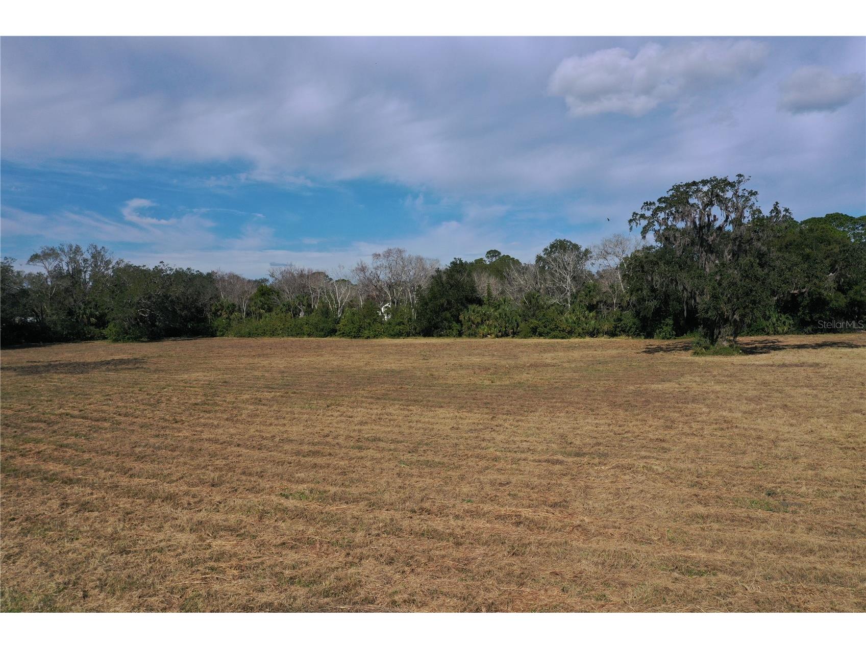 4558 S Ridgewood Avenue Edgewater FL 32141 V4949573 image19