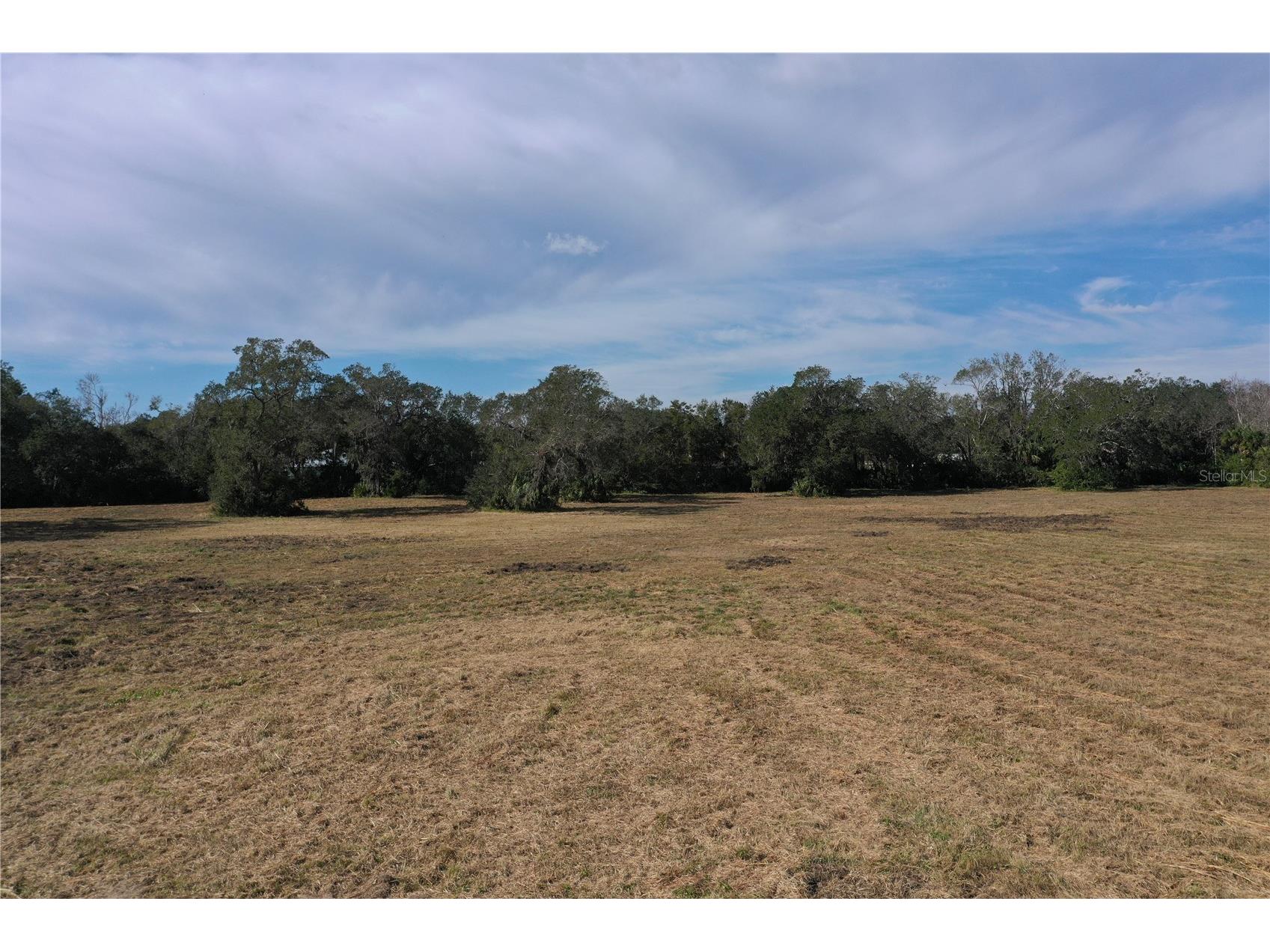4558 S Ridgewood Avenue Edgewater FL 32141 V4949573 image20