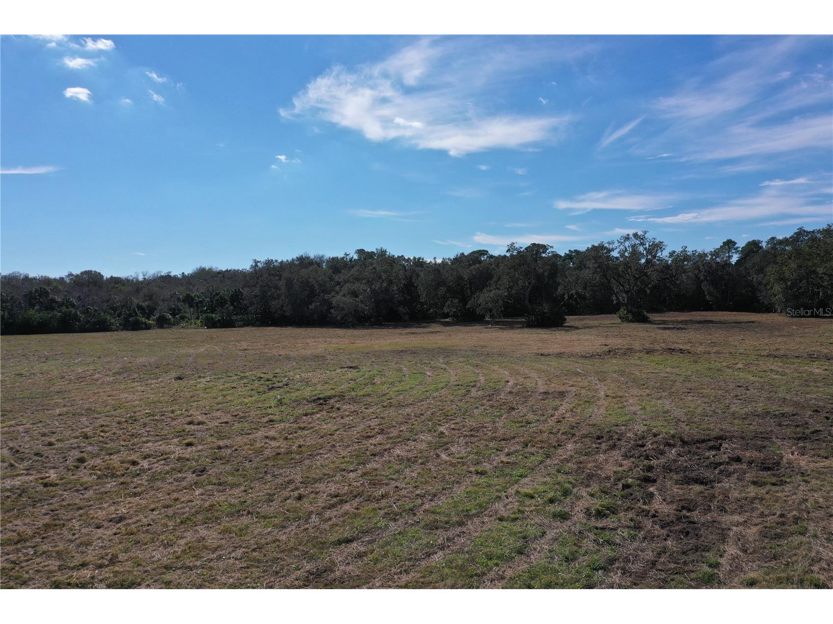 4558 S Ridgewood Avenue Edgewater FL 32141 V4949573 image21