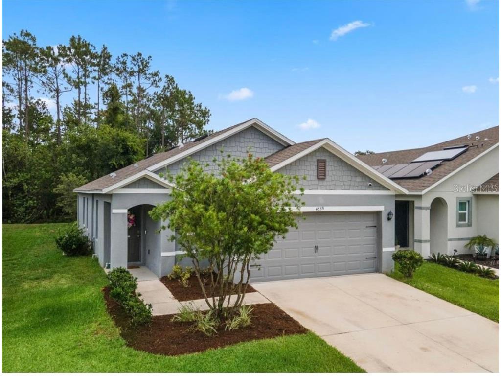 4559 Gadwall Drive Kissimmee FL 34744 O6227153 image1