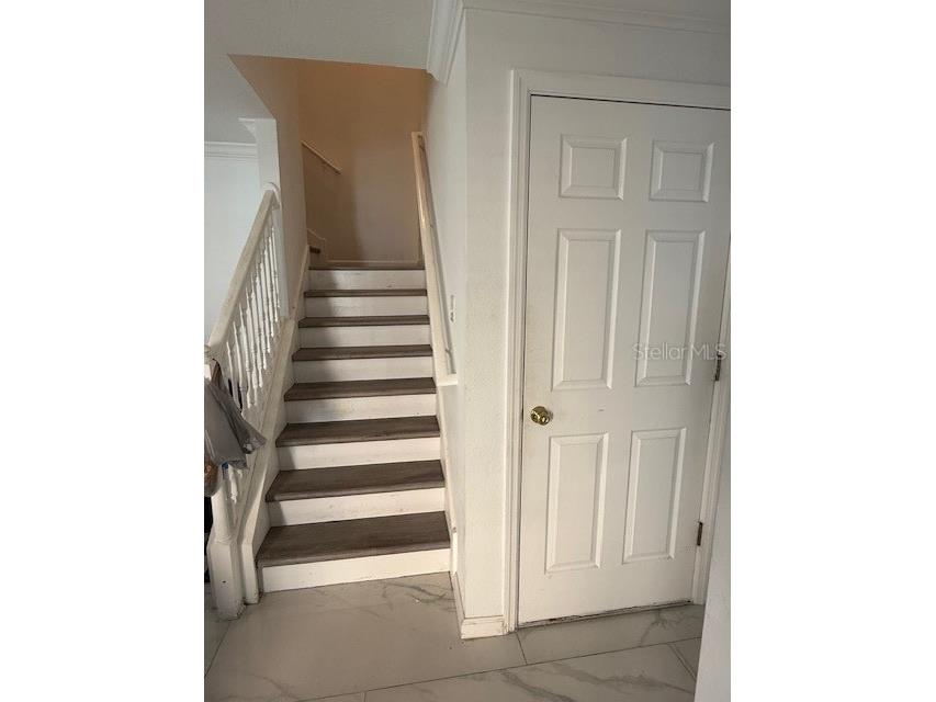 4559 Limerick Drive Tampa FL 33610 TB8411543 image12