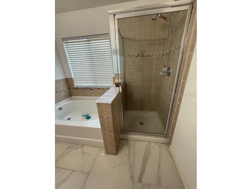 4559 Limerick Drive Tampa FL 33610 TB8411543 image18