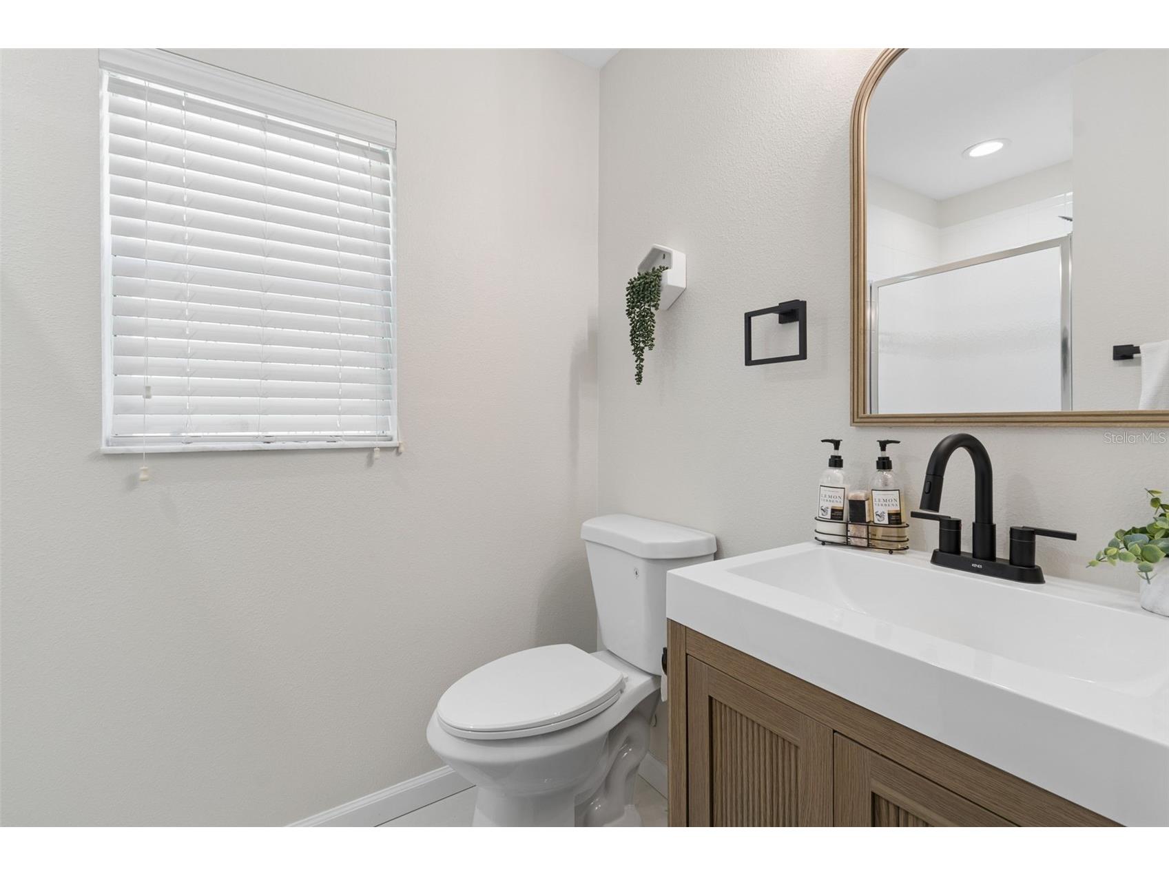 4559 Limerick Drive Tampa FL 33610 TB8521874 image24
