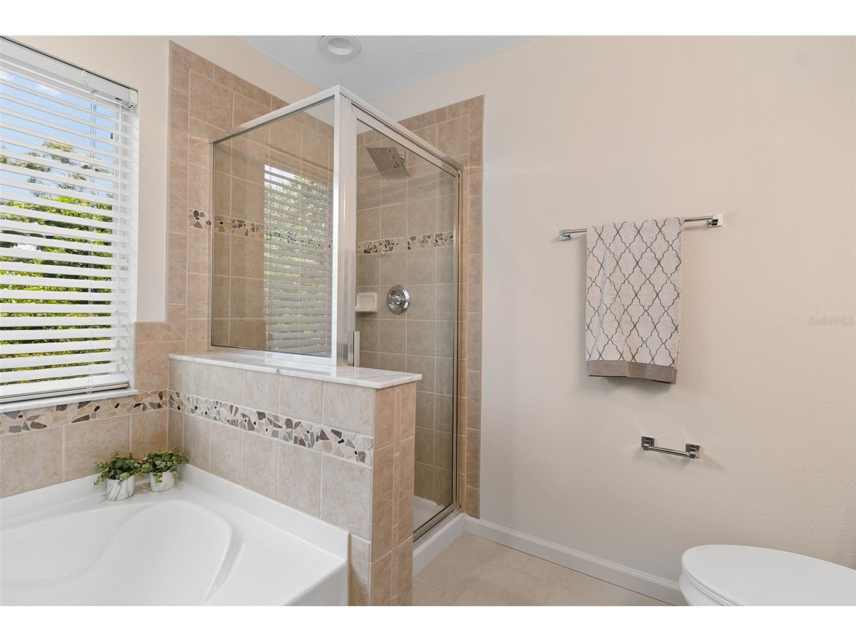 4559 Limerick Drive Tampa FL 33610 TB8521874 image35