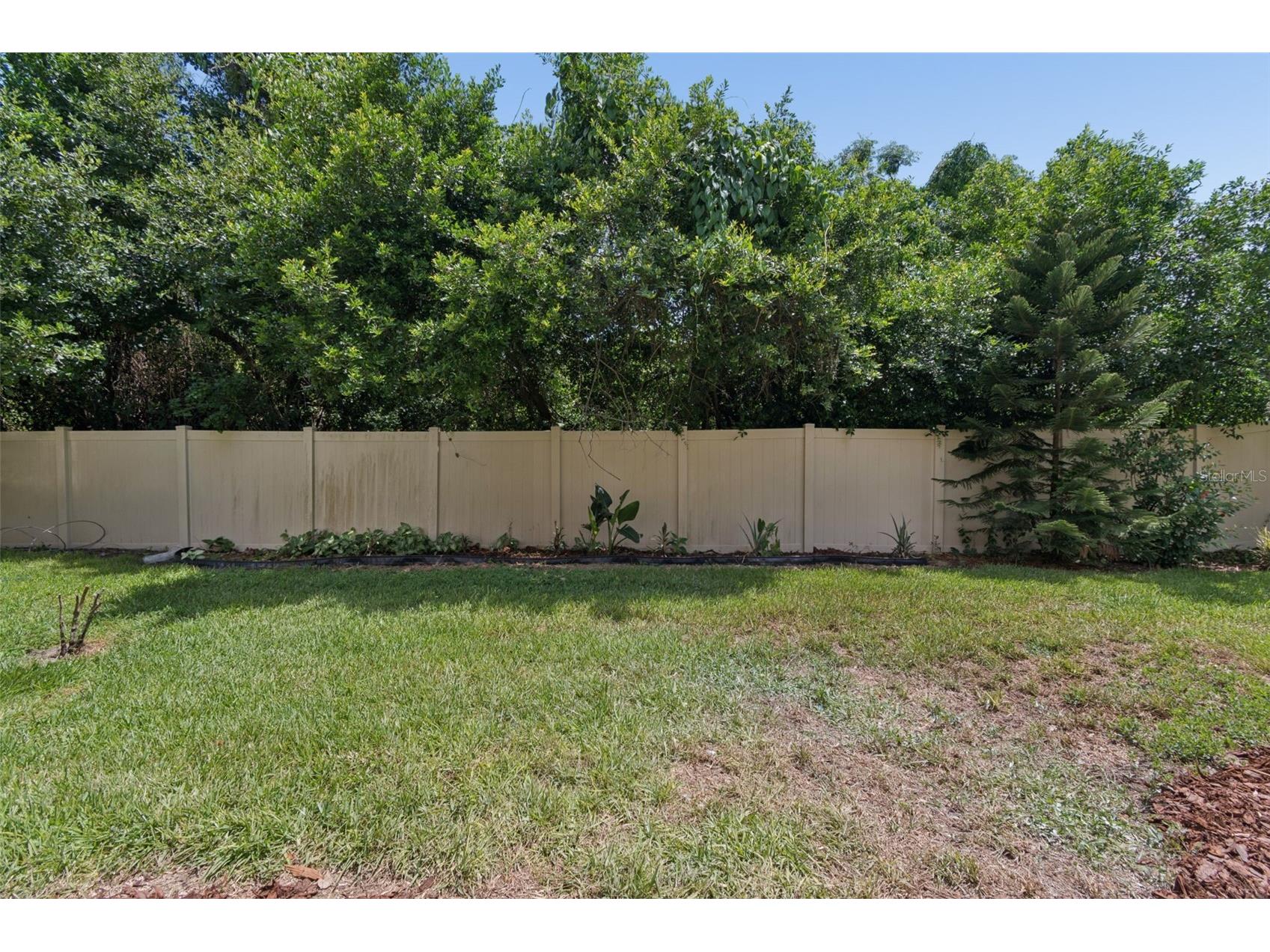 4559 Limerick Drive Tampa FL 33610 TB8521874 image50