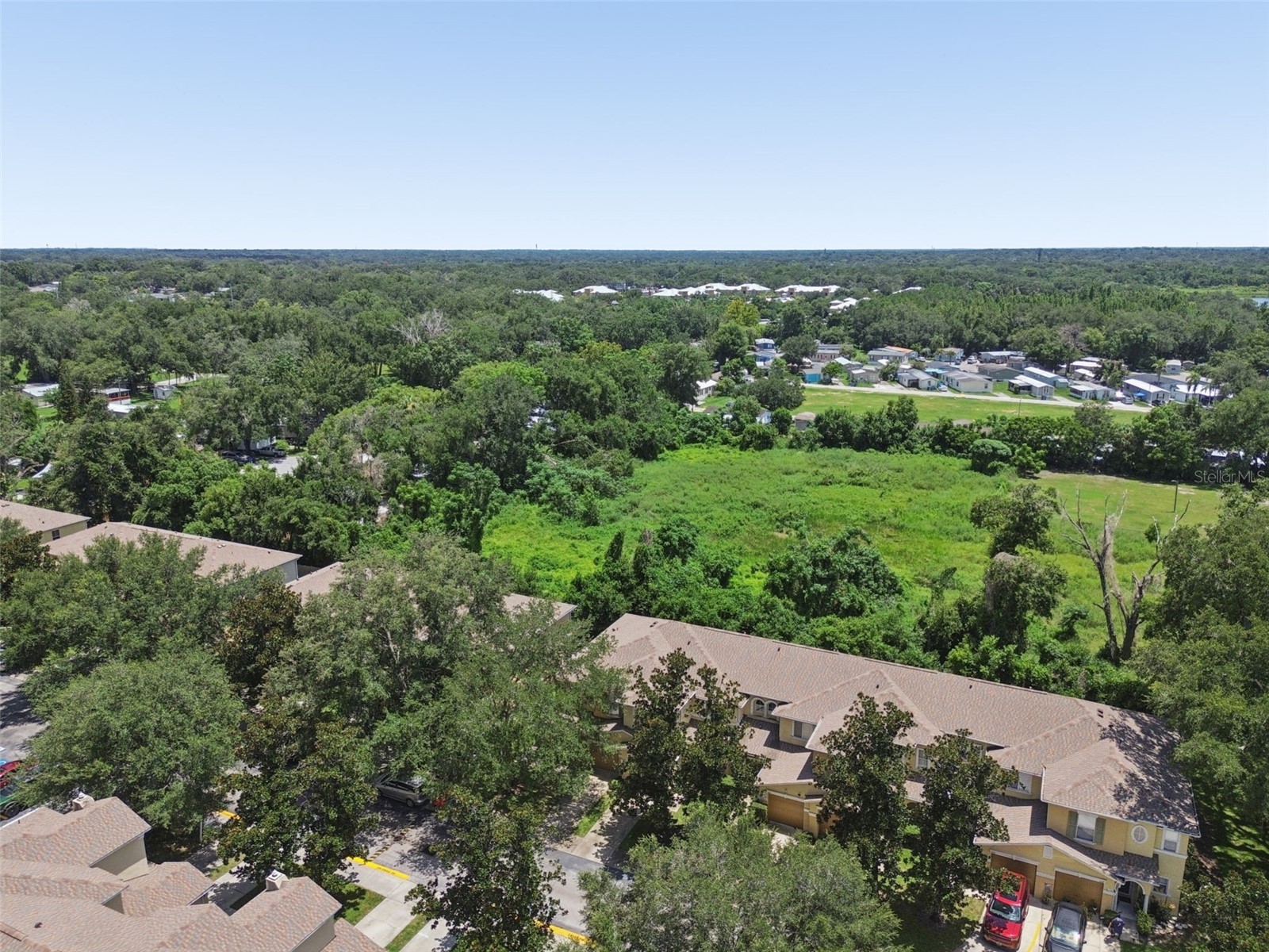 4559 Limerick Drive Tampa FL 33610 TB8521874 image57