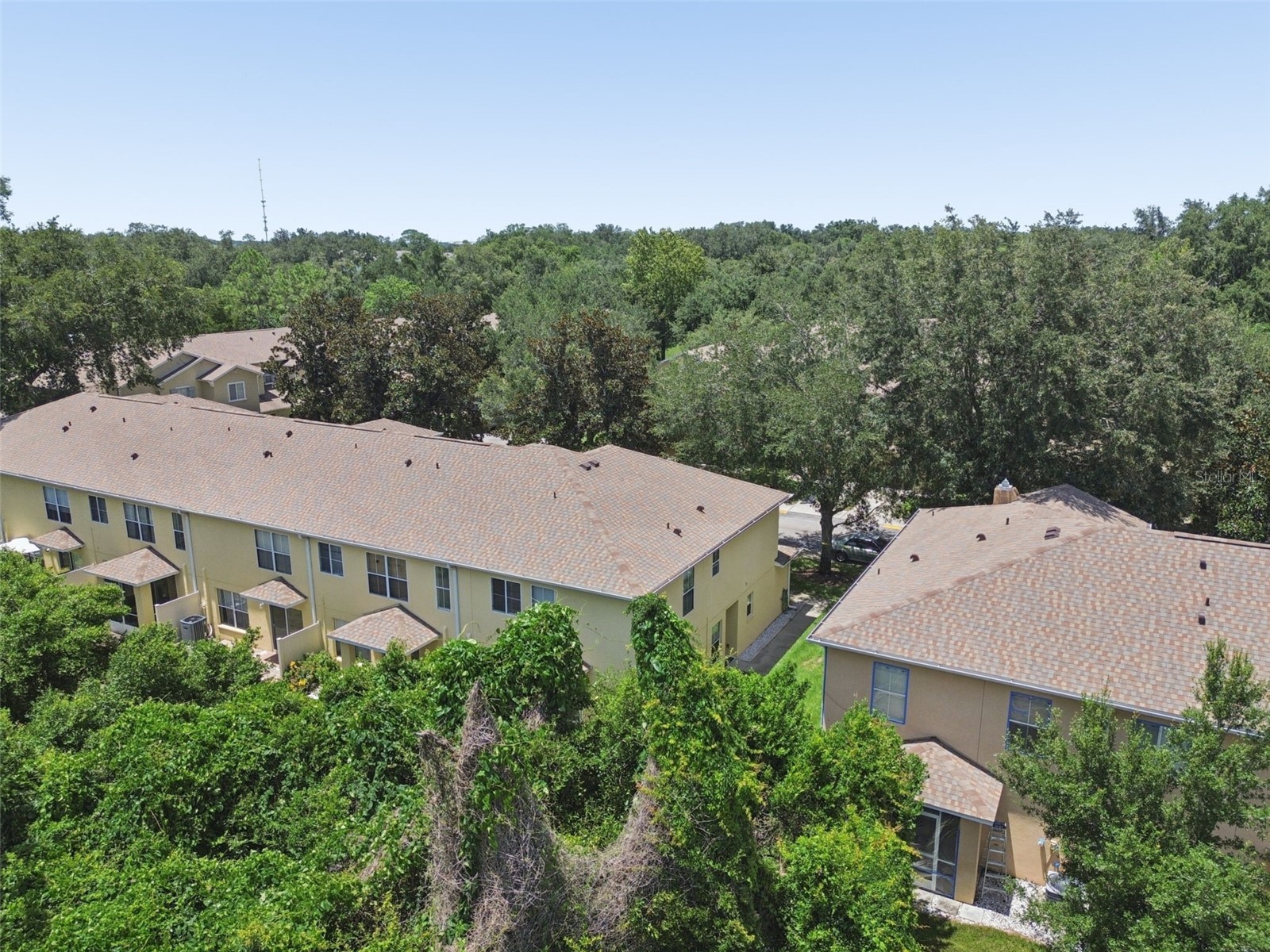 4559 Limerick Drive Tampa FL 33610 TB8521874 image64