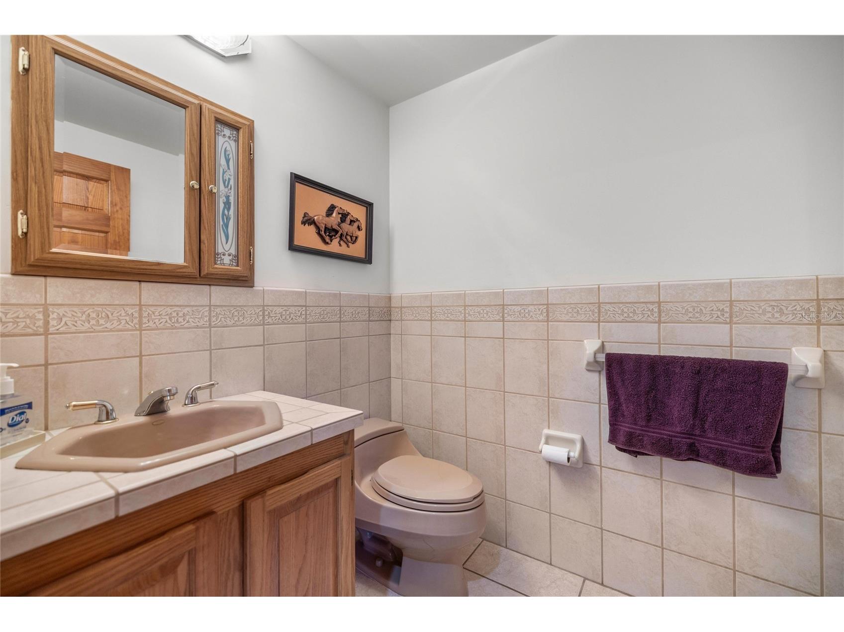 4559 W Dunklin Street Dunnellon FL 34433 TB8484572 image26