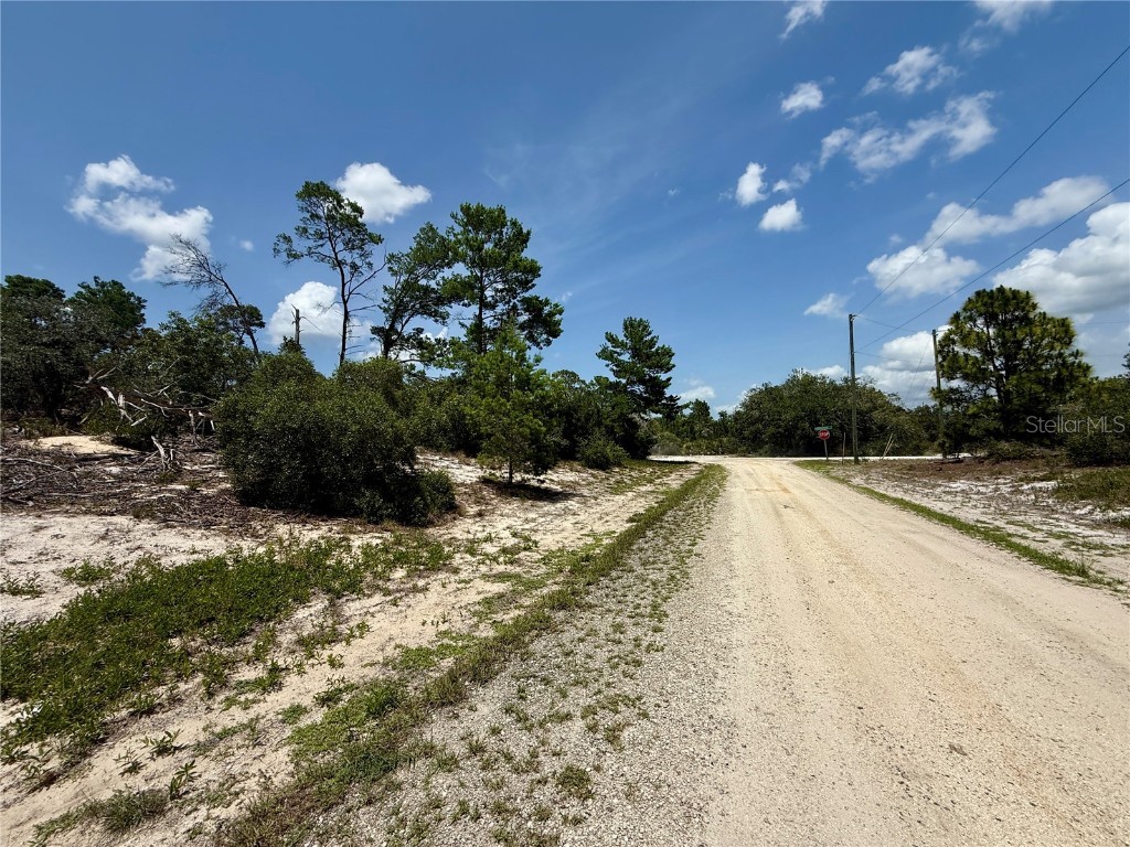 456 Apple Blossom Court Lake Placid FL 33852 N6139180 image1