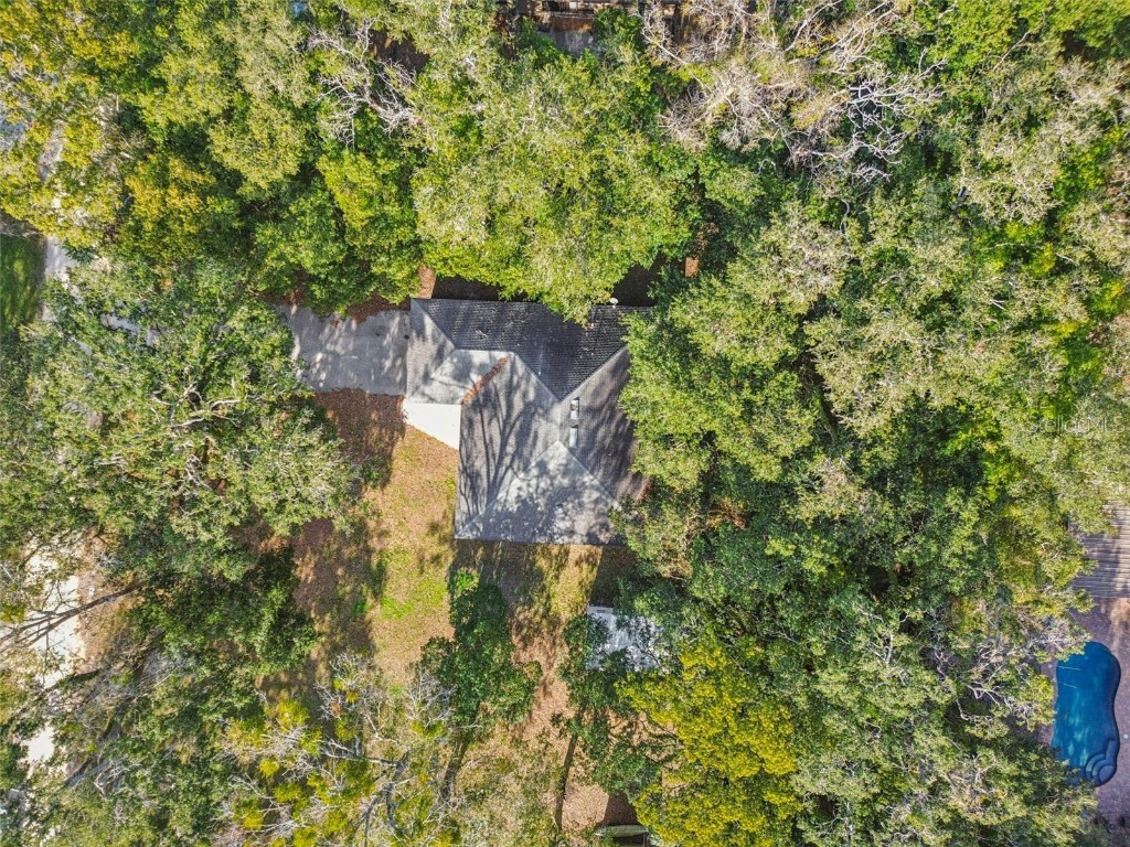 456 Garfield Avenue Brooksville FL 34604 TB8461884 image57