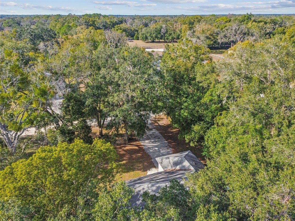 456 Garfield Avenue Brooksville FL 34604 TB8461884 image60