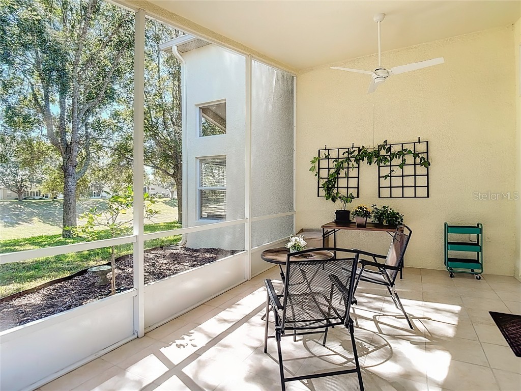 456 Greenwich Circle Spring Hill FL 34609 TB8439812 image36