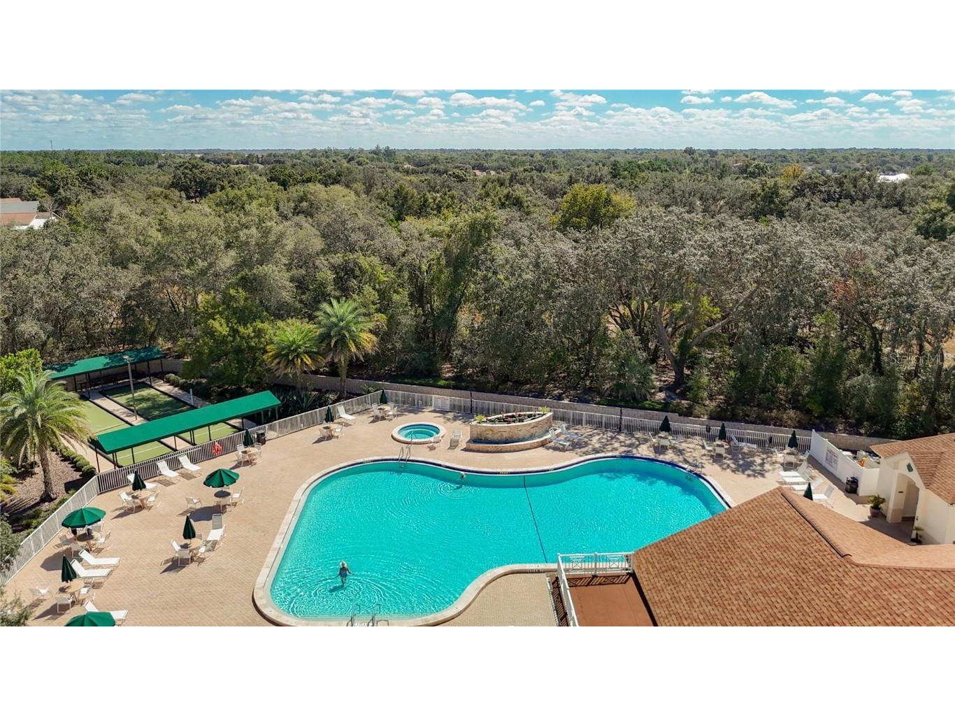 456 Greenwich Circle Spring Hill FL 34609 TB8439812 image43