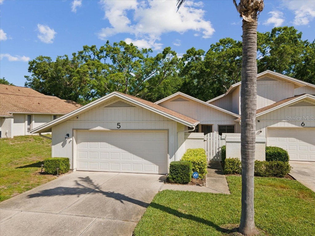 456 Lakeview Drive #5 Palm Harbor FL 34683 TB8368618 image1