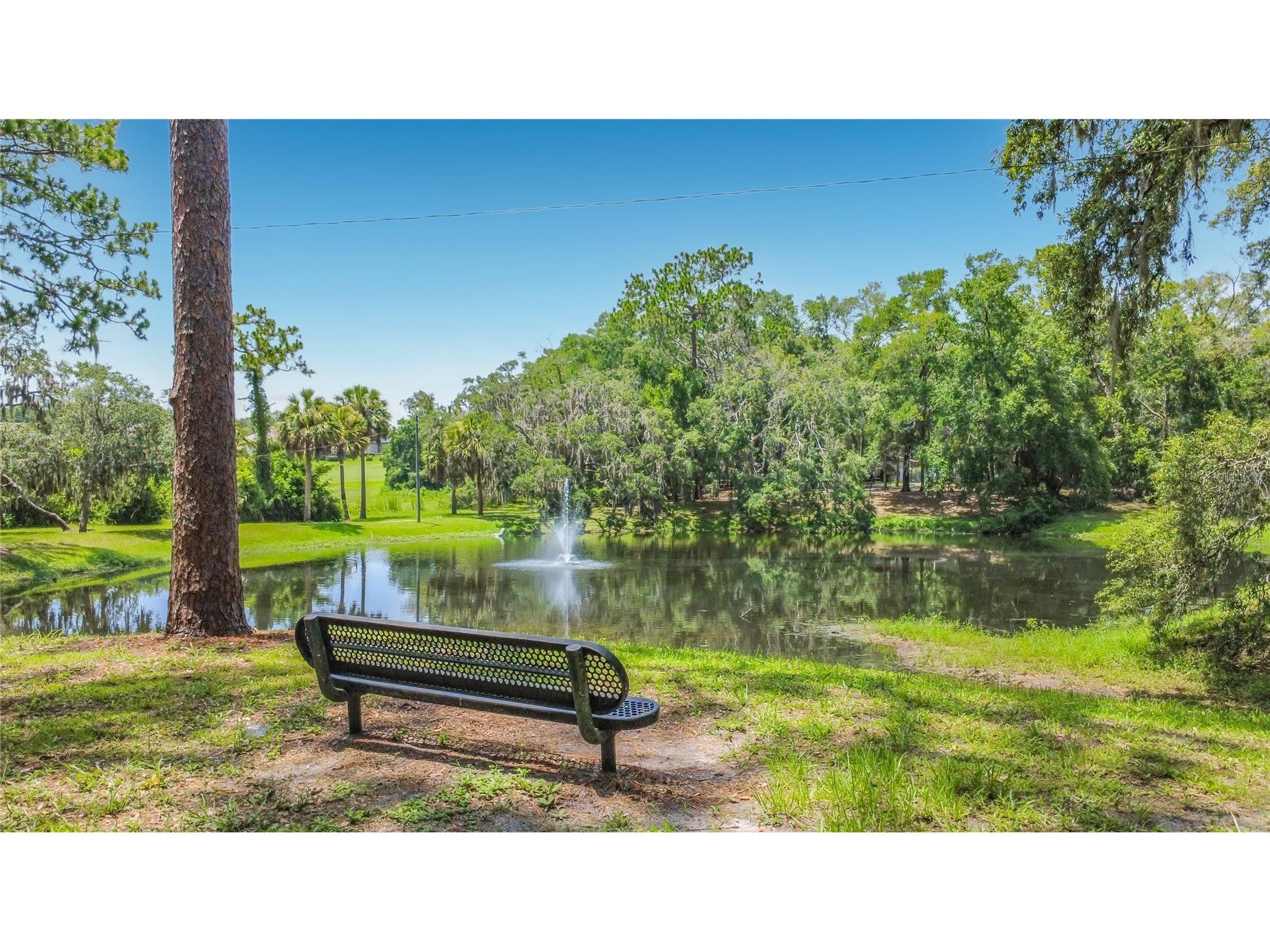 456 Newton Place Longwood FL 32779 O6424441 image70