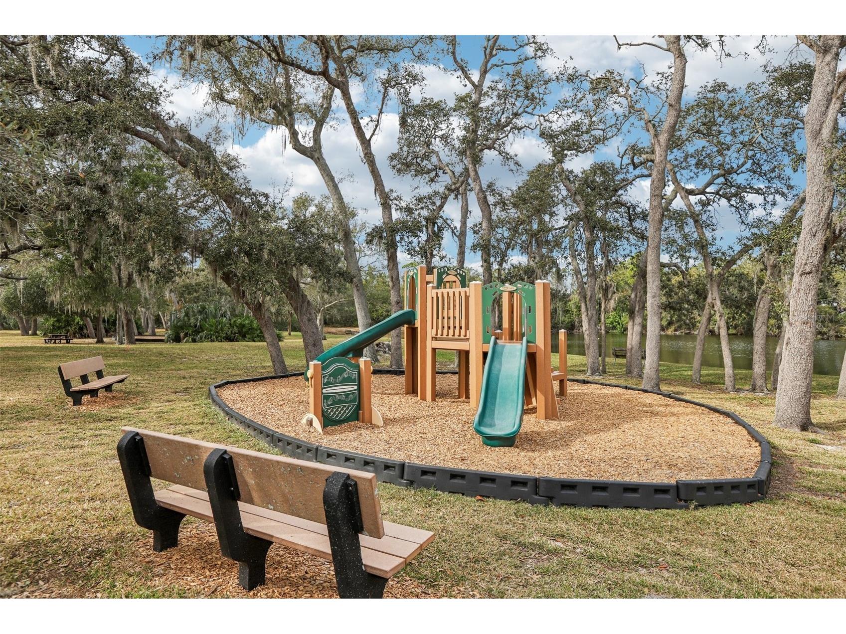 456 Thanington Close Palm Harbor FL 34683 TB8456152 image22