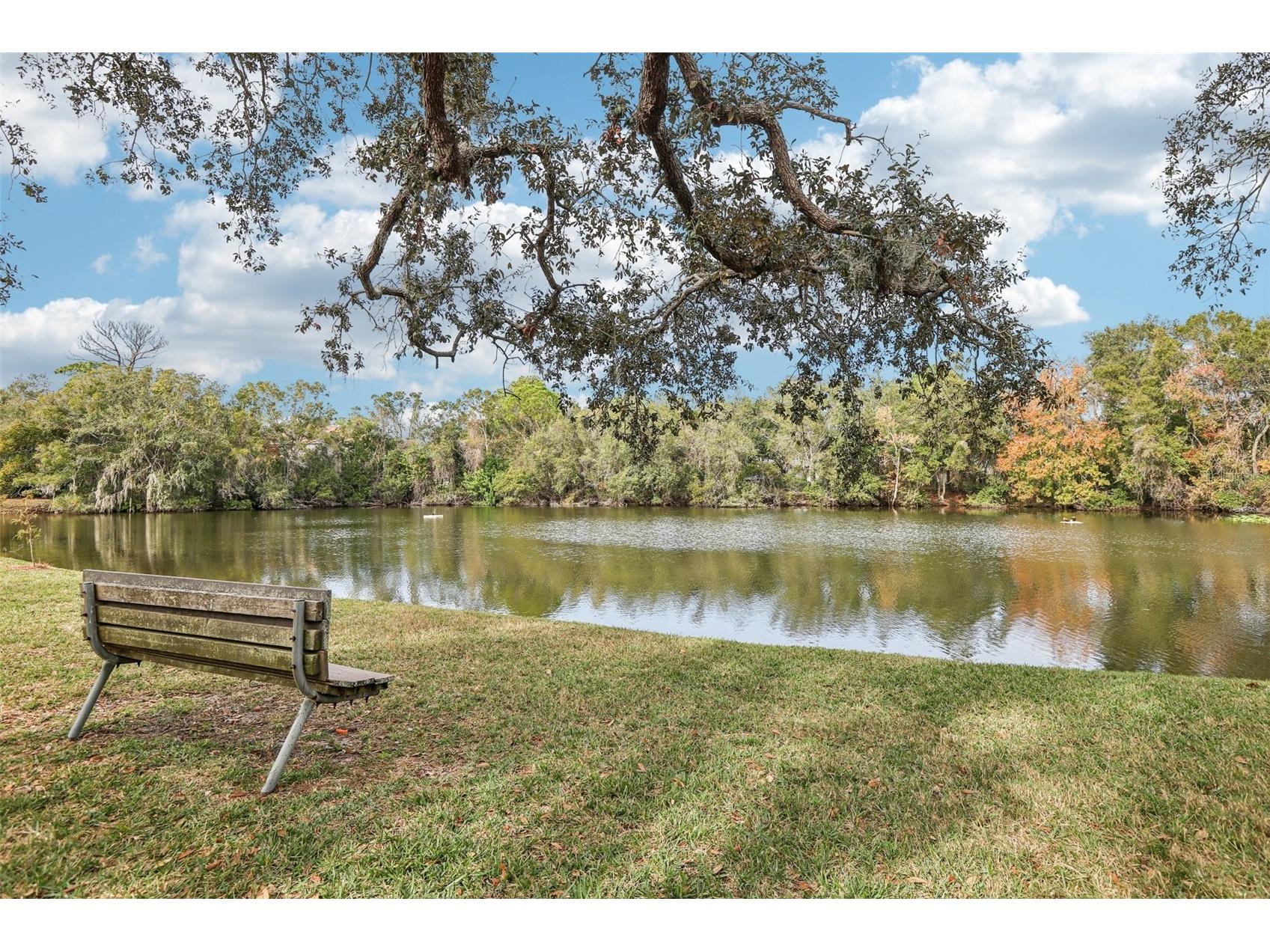456 Thanington Close Palm Harbor FL 34683 TB8456152 image23