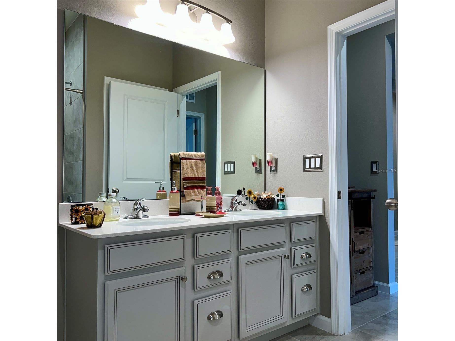 456 Winter Solstice Lane Mount Dora FL 32757 O6365215 image5
