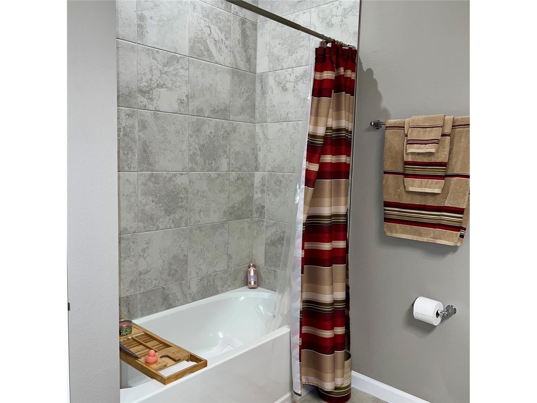 456 Winter Solstice Lane Mount Dora FL 32757 O6365215 image9