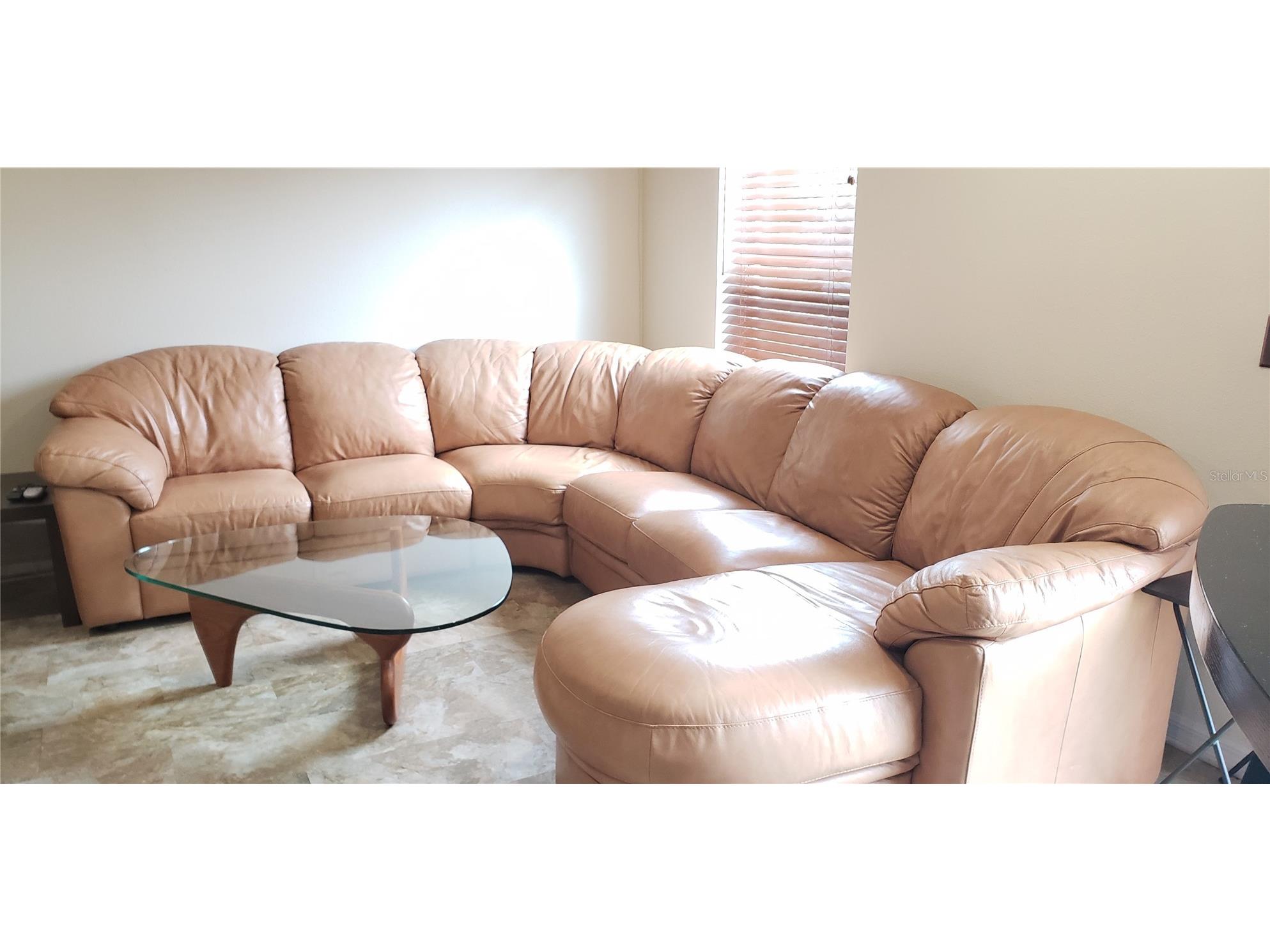 4560 Ashburn Square Drive Tampa FL 33610 TB8518678 image4