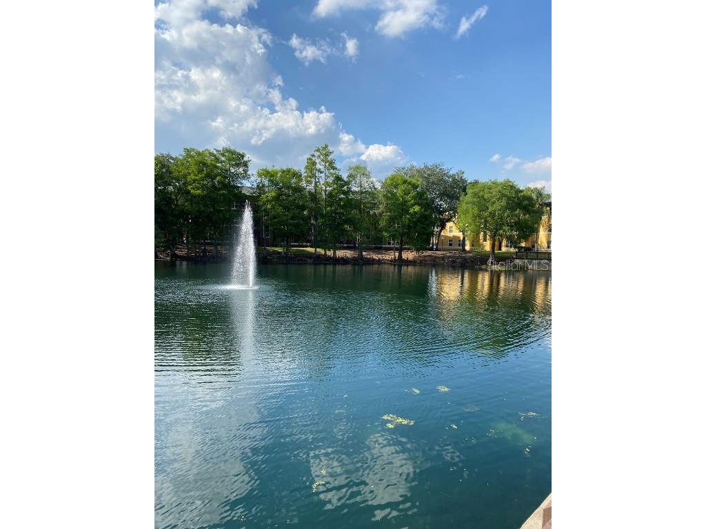 4560 Commander Drive #1313 Orlando FL 32822 O6350088 image17