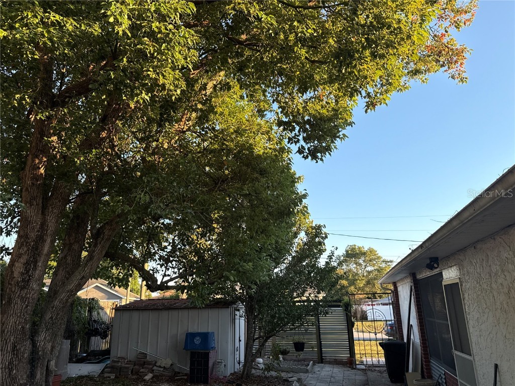 4560 Lamson Avenue Spring Hill FL 34608 TB8440764 image37