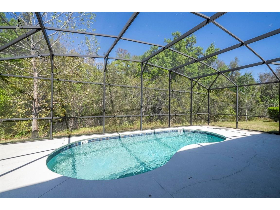 4561 Cabello Loop Kissimmee FL 34746 O6290247 image51