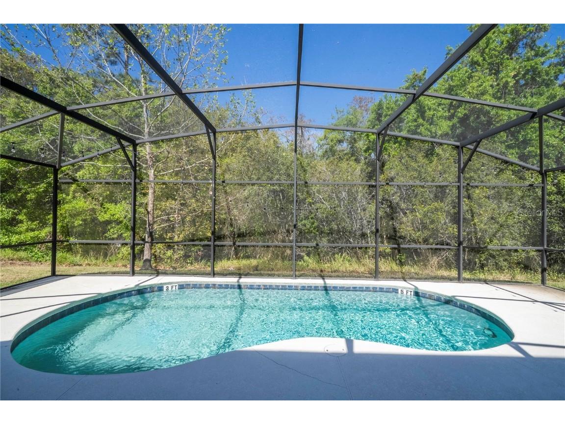 4561 Cabello Loop Kissimmee FL 34746 O6290247 image60