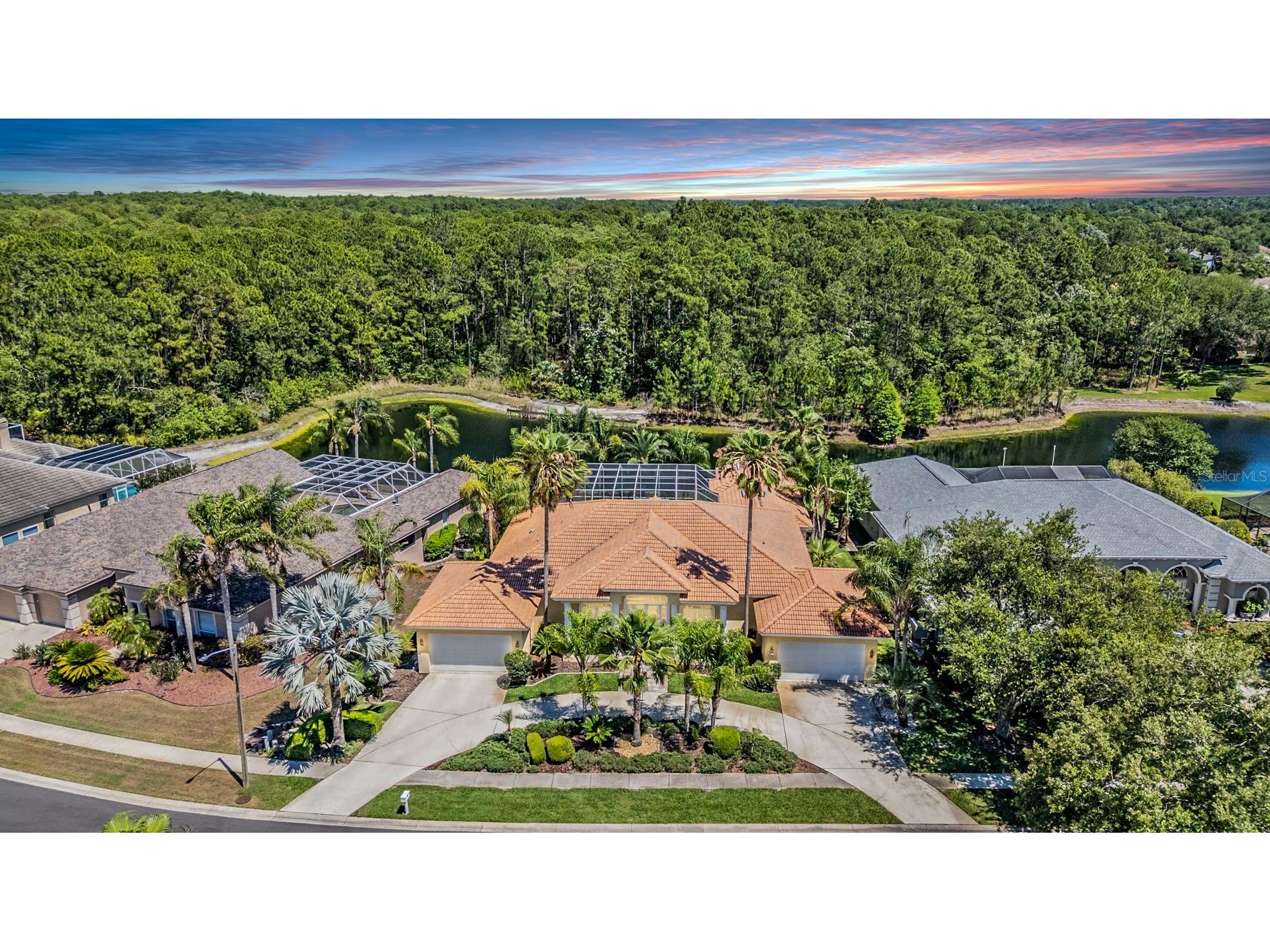 4561 Roanoak Way Palm Harbor FL 34685 TB8508800 image2