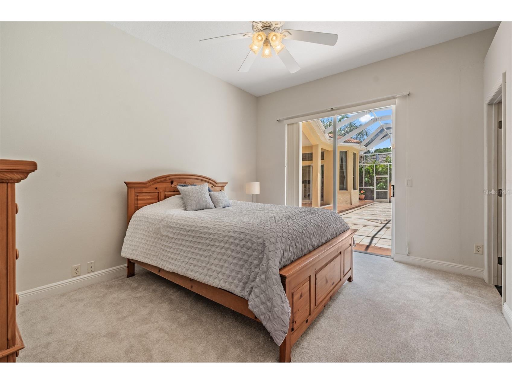 4561 Roanoak Way Palm Harbor FL 34685 TB8508800 image36