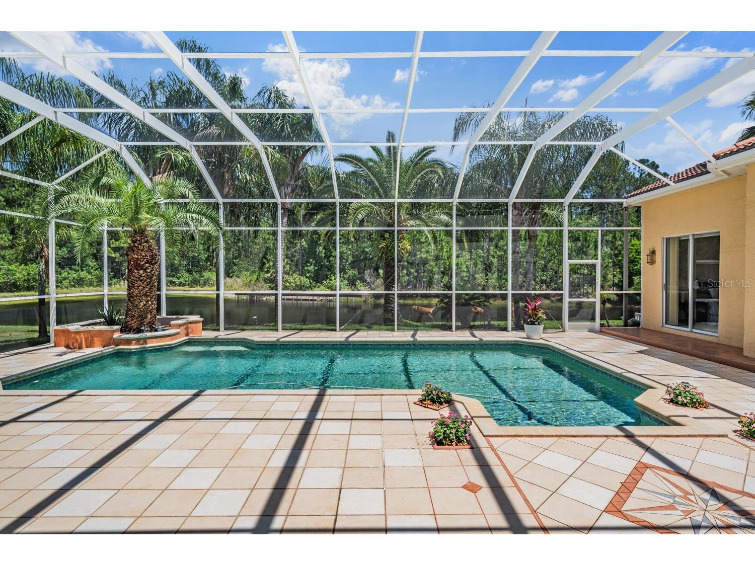 4561 Roanoak Way Palm Harbor FL 34685 TB8508800 image49