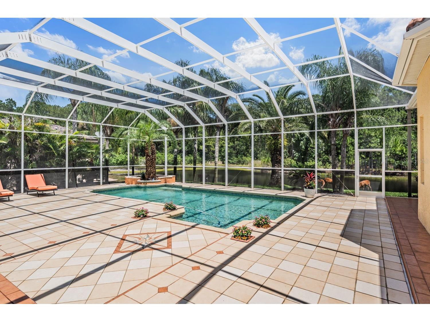 4561 Roanoak Way Palm Harbor FL 34685 TB8508800 image50